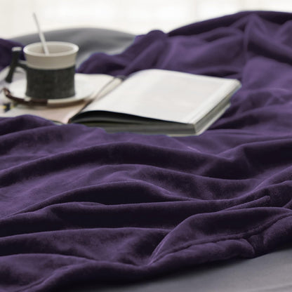 Bedsure GentleSoft Fleece Throw Blanket for Couch Grey - Lightweight Plush Fuzzy Cozy Soft Blankets and Throws for Sofa, Couch, Travel, Camping, 50x60 inches - Colors A