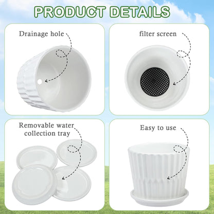 sietpoek Plant Pots - 5.5 Inch Cylinder Ceramic Planters with Connected Saucer, Pots for Succuelnt and Little Snake Plants, Set of 4, White
