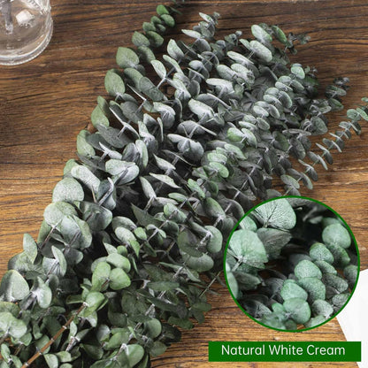Tavkite 16 Pcs Dried Eucalyptus Stems, 17'' Natural Fresh Eucalyptus Leaves Branches Hanging for Shower, Preserved Real Plant Live Greenery for Home SPA Wall Bathroom Wedding Party Vase Decor