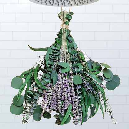 52 PCS Mix Dried Eucalyptus & Lavender Flowers Bundles for Shower, 17'' Natural Real Hanging Silver Dollar Eucalyptus Leaves Stems, Fragrance Fresh Plants Home Bathroom Decor (52pcs)
