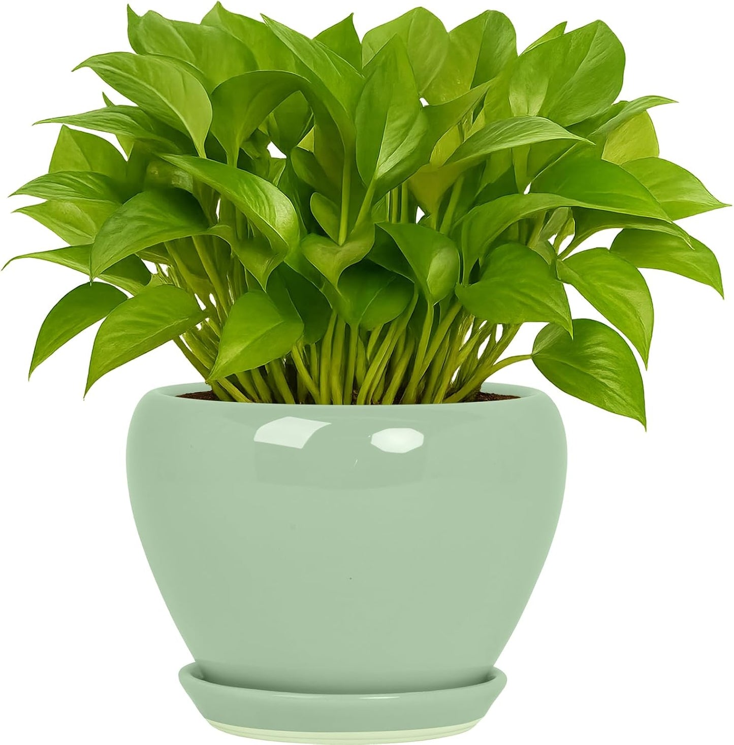 Deep Dream 6 Inch Plant Pots- Ceramic Planter Pot with Drainage Hole and Saucer, Round Flower Pot for Indoor Outdoor Succulent, Snake Plants and Cactus, Blue