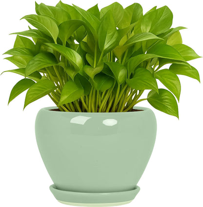Deep Dream 6 Inch Plant Pots- Ceramic Planter Pot with Drainage Hole and Saucer, Round Flower Pot for Indoor Outdoor Succulent, Snake Plants and Cactus, Blue