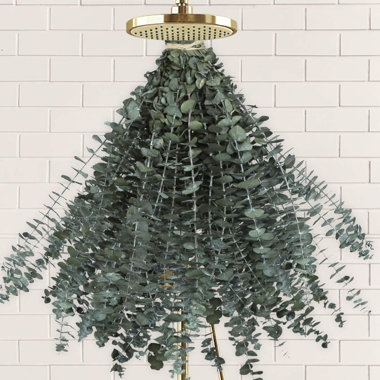 11 PCS Real Dried Eucalyptus Stem for Shower & Bathroom Decor - 17'' Large Natural Fresh Eucalyptus Leaves Hanging Plants, Shower Stuff Green Home Vase Decor, DIY