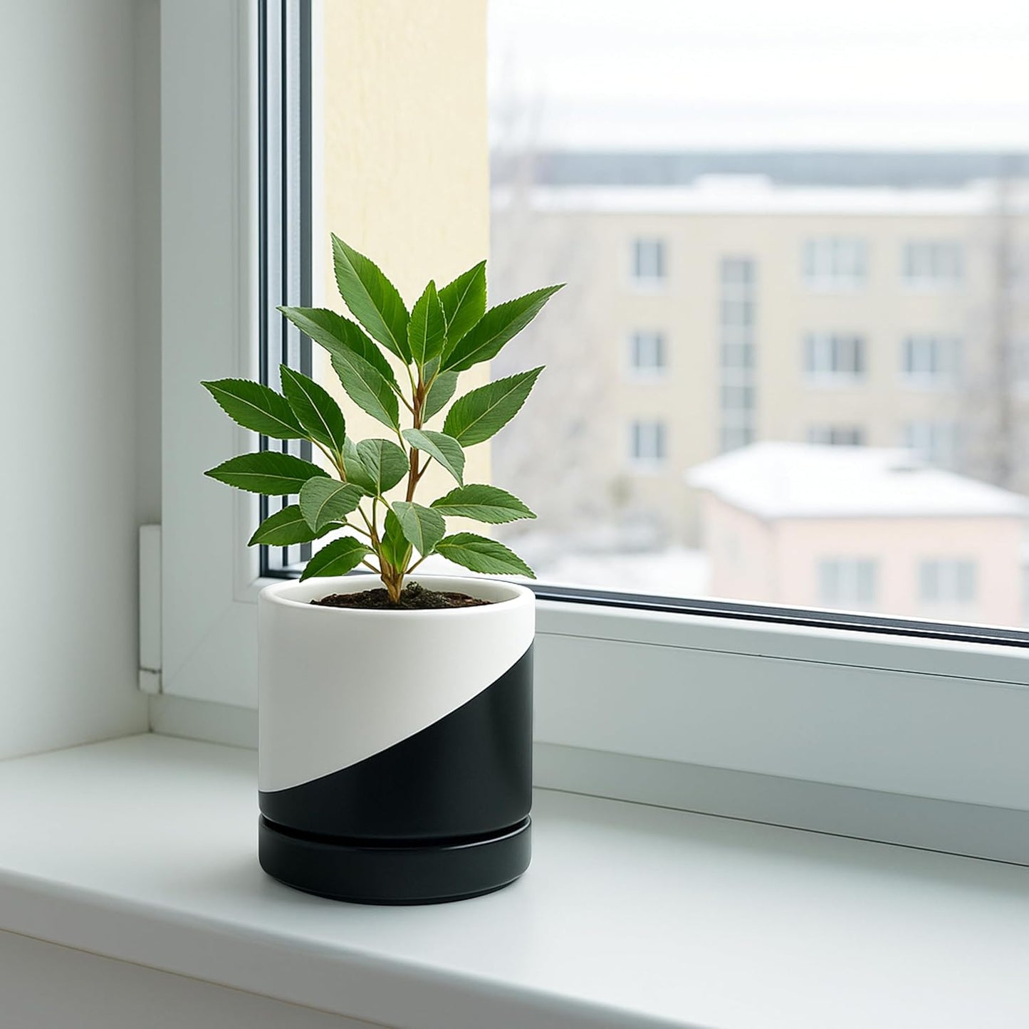 D'vine Dev 6.5 Inch Ceramic Planter Pot with Drainage Hole and Saucer, Indoor Cylinder Round Planter Pot, Olive, 94-O-C-J
