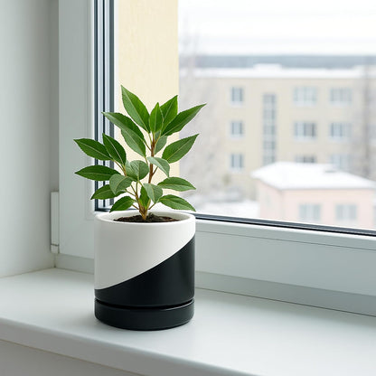 D'vine Dev 6.5 Inch Ceramic Planter Pot with Drainage Hole and Saucer, Indoor Cylinder Round Planter Pot, Olive, 94-O-C-J