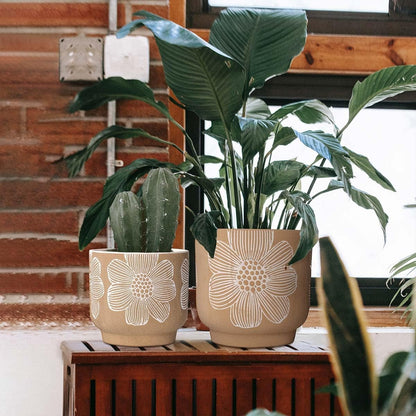 YBX 8 Inch + 6 Inch Ceramic Plant Pots, Succulent Flower Pots with Drainage Holes, Terracotta Planters for Indoor Plants, White&Terracotta (Garden)