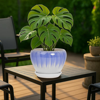 Deep Dream 6 Inch Plant Pots- Ceramic Planter Pot with Drainage Hole and Saucer, Round Flower Pot for Indoor Outdoor Succulent, Snake Plants and Cactus, Blue