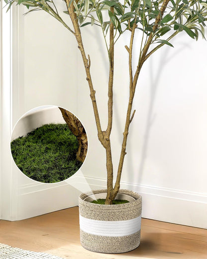 Artificial Olive Tree 6FT - Tall Faux Olive Trees Indoor with Planter&Cotton Basket, Large Fake Olive Plants Realistic Branches Natural Wood Trunk and Fruits for Home House Office Decor