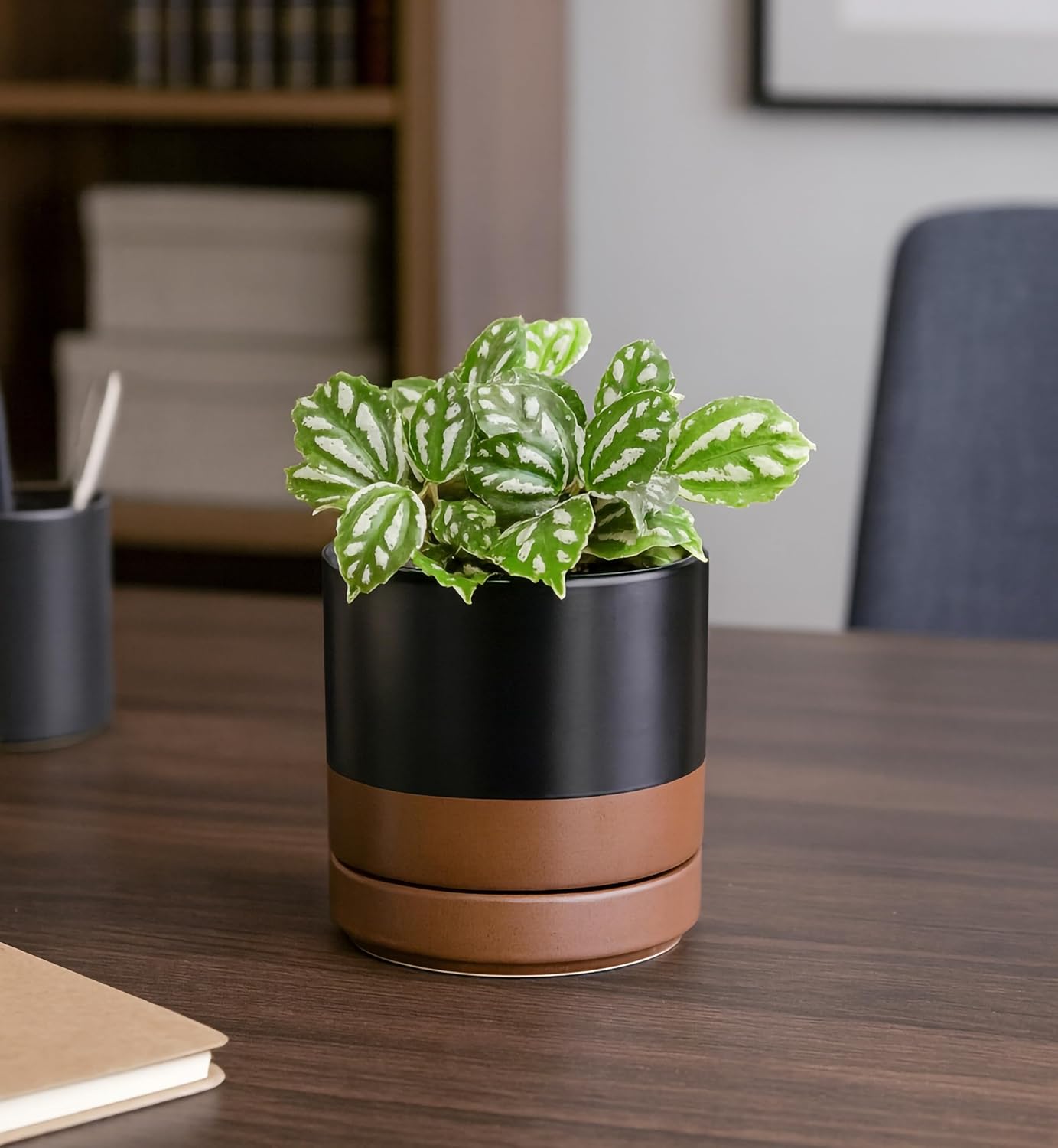 D'vine Dev 6.5 Inch Ceramic Planter Pot with Drainage Hole and Saucer, Indoor Cylinder Round Planter Pot, Olive, 94-O-C-J