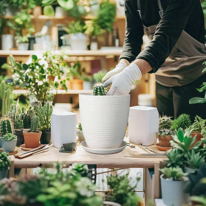 Ceramic Pots for Plants - 6 Inch Plant Pot with Drainage Hole and Saucer, Round Planters for Indoor Outdoor, Flower Pots, Modern Planter, Home Office Room Decor, Gifts for Plant Lovers, White