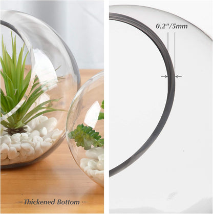 WGVI Clear Slant Cut Bowl Glass Vase, Glass Terrarium, Candy Dish, Glassware, Slant Open: 7". Height: 6" x 2.7". Base: 4" (1 Piece)