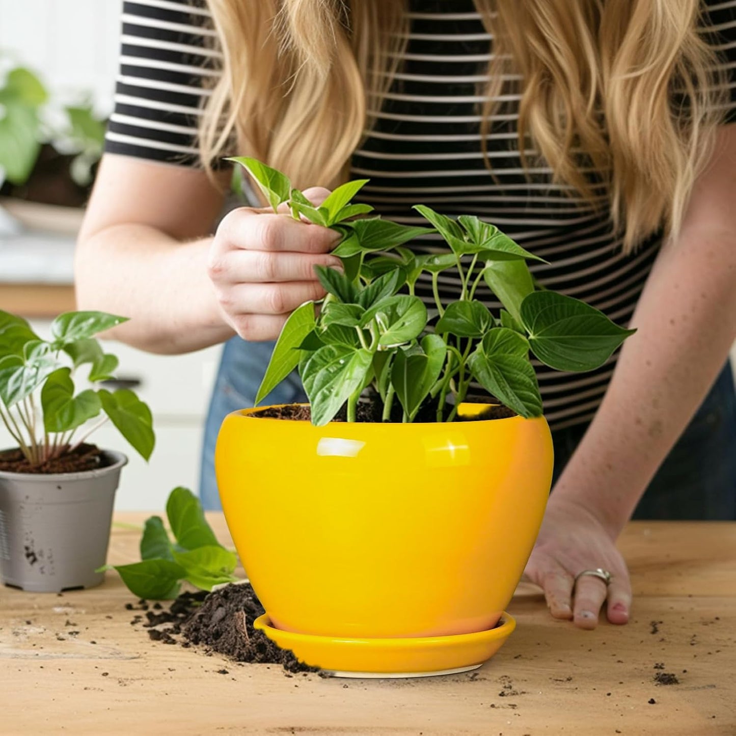 Ceramic Modern Glaze Succulent Planter Pot with Drainage Hole and Saucer 6 Inch Round Flower Plant Pot for Indoor Outdoor Herb Snake Plants