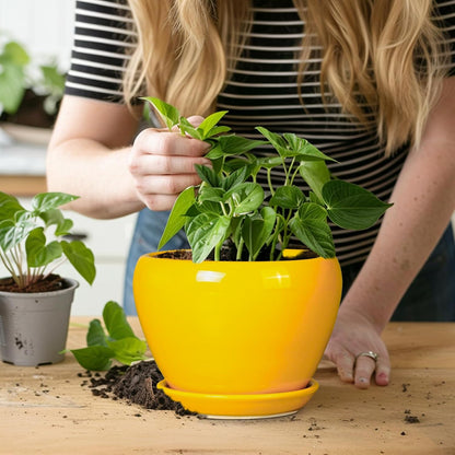 Ceramic Modern Glaze Succulent Planter Pot with Drainage Hole and Saucer 6 Inch Round Flower Plant Pot for Indoor Outdoor Herb Snake Plants