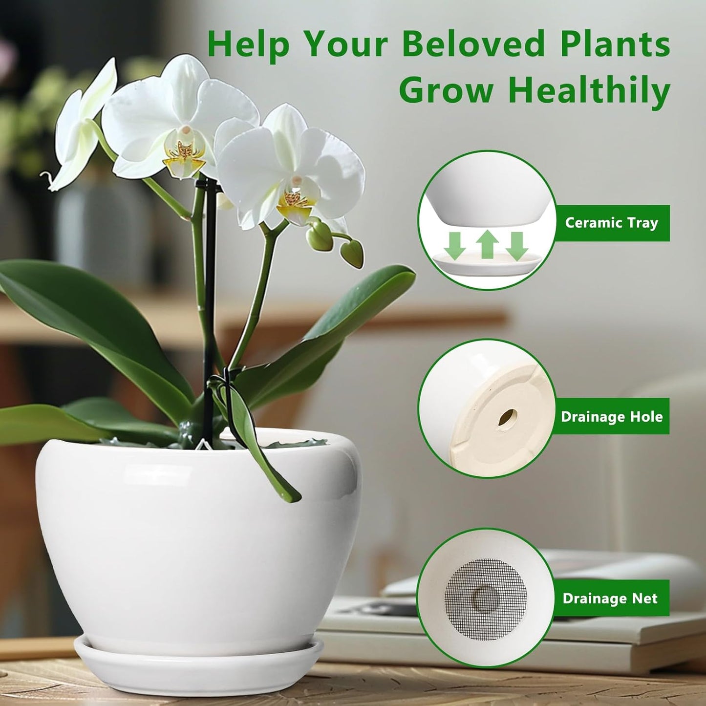 Ceramic Modern Glaze Succulent Planter Pot with Drainage Hole and Saucer 6 Inch Round Flower Plant Pot for Indoor Outdoor Herb Snake Plants