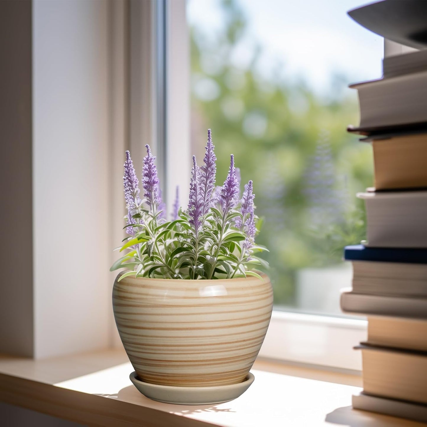 Ceramic Modern Glaze Succulent Planter Pot with Drainage Hole and Saucer 6 Inch Round Flower Plant Pot for Indoor Outdoor Herb Snake Plants