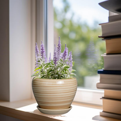 Ceramic Modern Glaze Succulent Planter Pot with Drainage Hole and Saucer 6 Inch Round Flower Plant Pot for Indoor Outdoor Herb Snake Plants