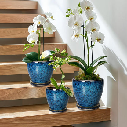 10 Inch Ceramic Planter Pot Round Plant Pot for Indoor Plants Outdoor Large Flower Pot with Drainage Hole and Saucer Blue