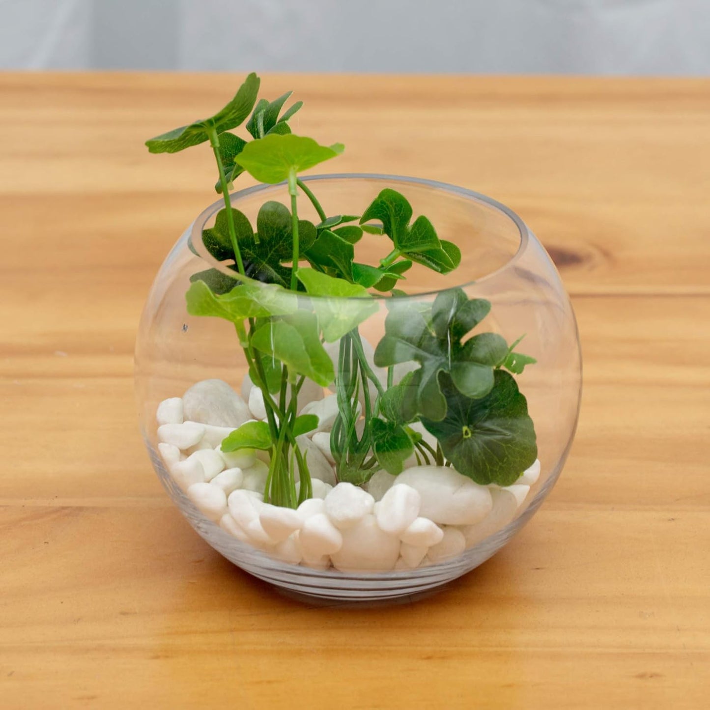 WGV Bowl Glass Vase, Diameter 6", Height 4.5", Open Width 4", (Multiple Sizes Choices) Clear Bubble Planter Terrarium Fish Bowl for Wedding Event Home Decor, 1 Piece (VBW0006A)