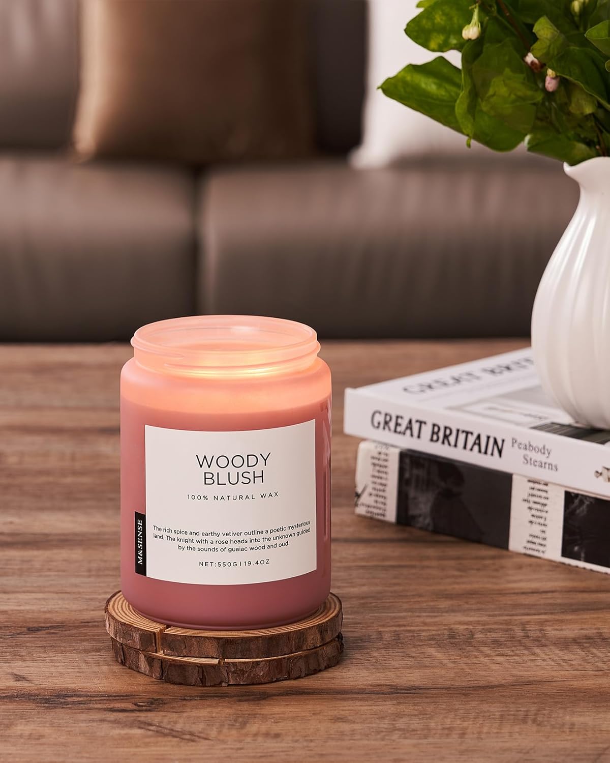 M&SENSE Eucalyptus & Mint Scented Jar Candle, Large 19.4oz Natural Soy Wax, 110-Hour Long Lasting Non-Toxic Clean Burning, Fresh Smelling Home Aromatherapy for Spa Stress Relief, Gifts for Men Women