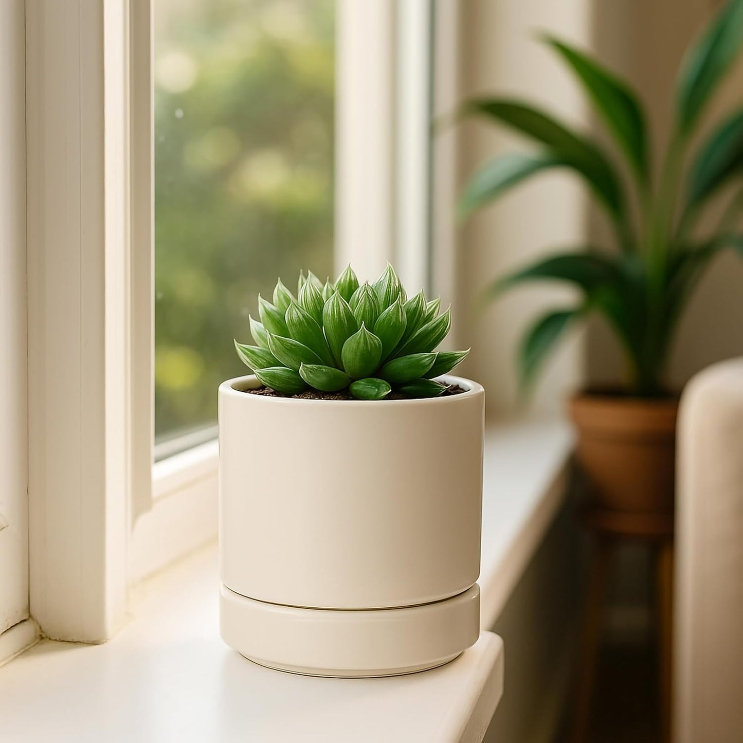D'vine Dev 6.5 Inch Ceramic Planter Pot with Drainage Hole and Saucer, Indoor Cylinder Round Planter Pot, Olive, 94-O-C-J