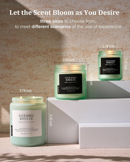 M&SENSE Eucalyptus & Mint Scented Jar Candle, Large 19.4oz Natural Soy Wax, 110-Hour Long Lasting Non-Toxic Clean Burning, Fresh Smelling Home Aromatherapy for Spa Stress Relief, Gifts for Men Women