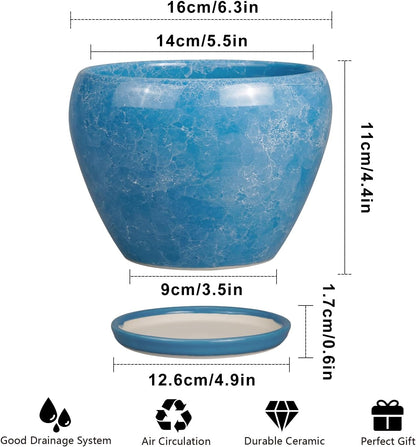 Ceramic Modern Glaze Succulent Planter Pot with Drainage Hole and Saucer 6 Inch Round Flower Plant Pot for Indoor Outdoor Herb Snake Plants