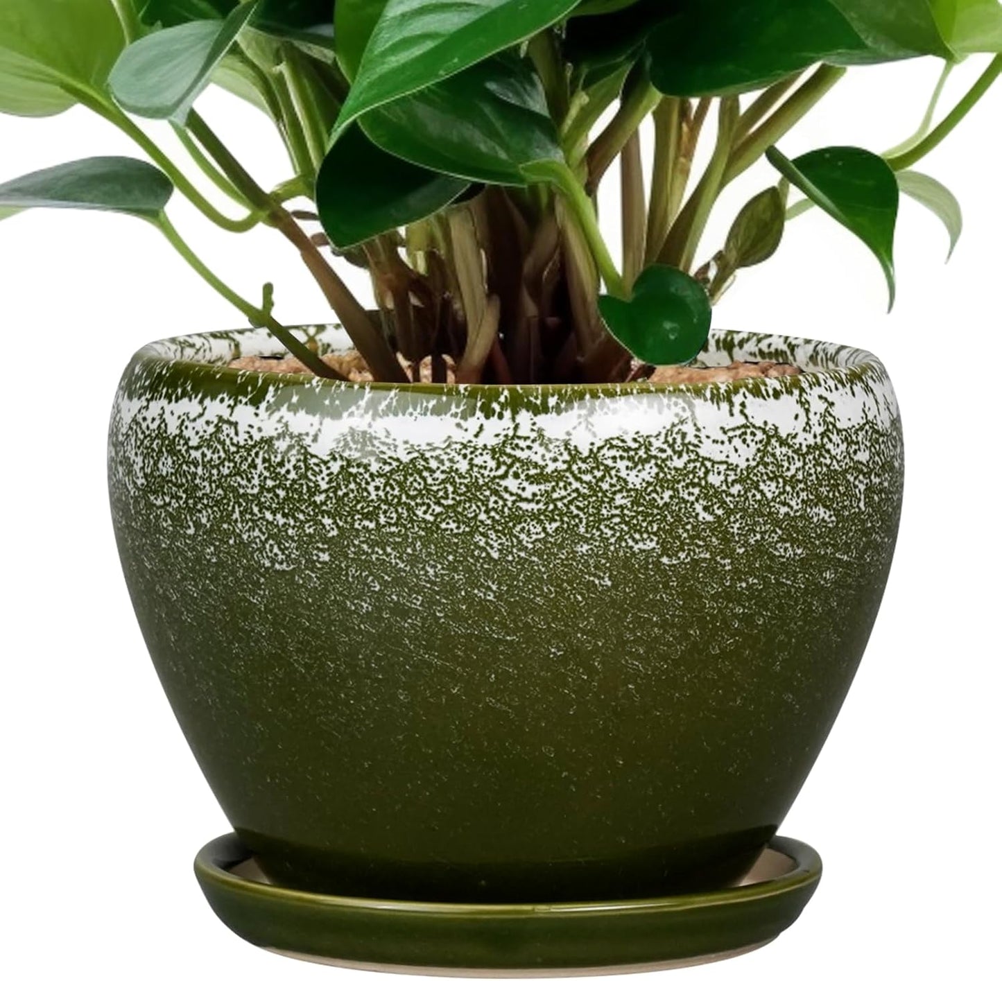 Ceramic Modern Glaze Succulent Planter Pot with Drainage Hole and Saucer 6 Inch Round Flower Plant Pot for Indoor Outdoor Herb Snake Plants