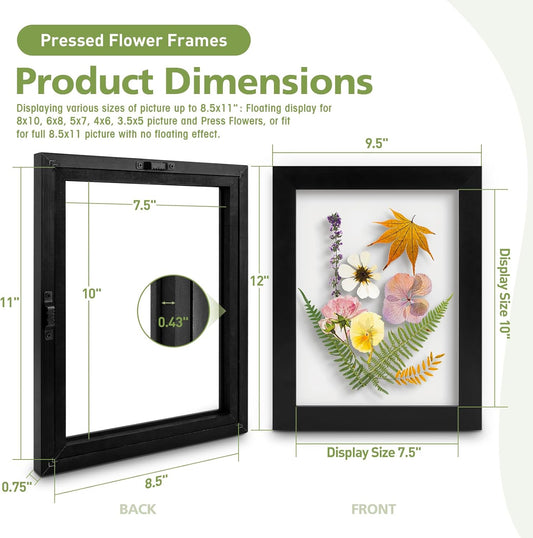 Golden State Art, 11X14 Floating Picture Frame, Black Wood Frame Display Any Size Photo Up To 11X14, Pressed Flower Frames with Hanging Hardware - Horizontal And Vertical Formats for Wall