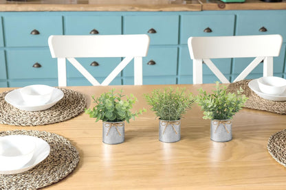Mkono 3 Pack Small Fake Plants in Black Galvanized Metal Pots Artificial Eucalyptus Plants for Christmas Decorations Shelf Desk Home Farmhouse Room Coffee Table Bathroom Decor