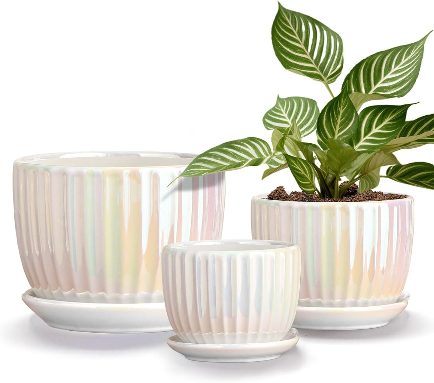 Ton Sin Pink Gold Ceramic Flower Pots, 4"+5"+6" Inch Small Glazed Succulent Planters with Drainage Hole,Modern Indoor Decorative Plant Pots Set of 3,Garden Pots with Saucer