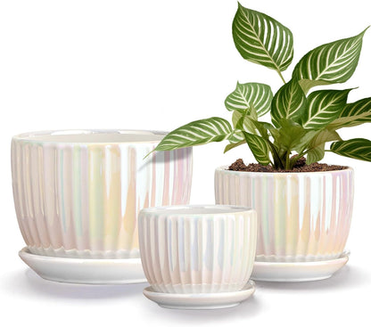 Ton Sin Pink Gold Ceramic Flower Pots, 4"+5"+6" Inch Small Glazed Succulent Planters with Drainage Hole,Modern Indoor Decorative Plant Pots Set of 3,Garden Pots with Saucer