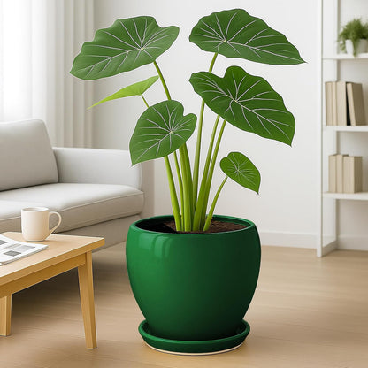 Deep Dream 6 Inch Plant Pots- Ceramic Planter Pot with Drainage Hole and Saucer, Round Flower Pot for Indoor Outdoor Succulent, Snake Plants and Cactus, Blue