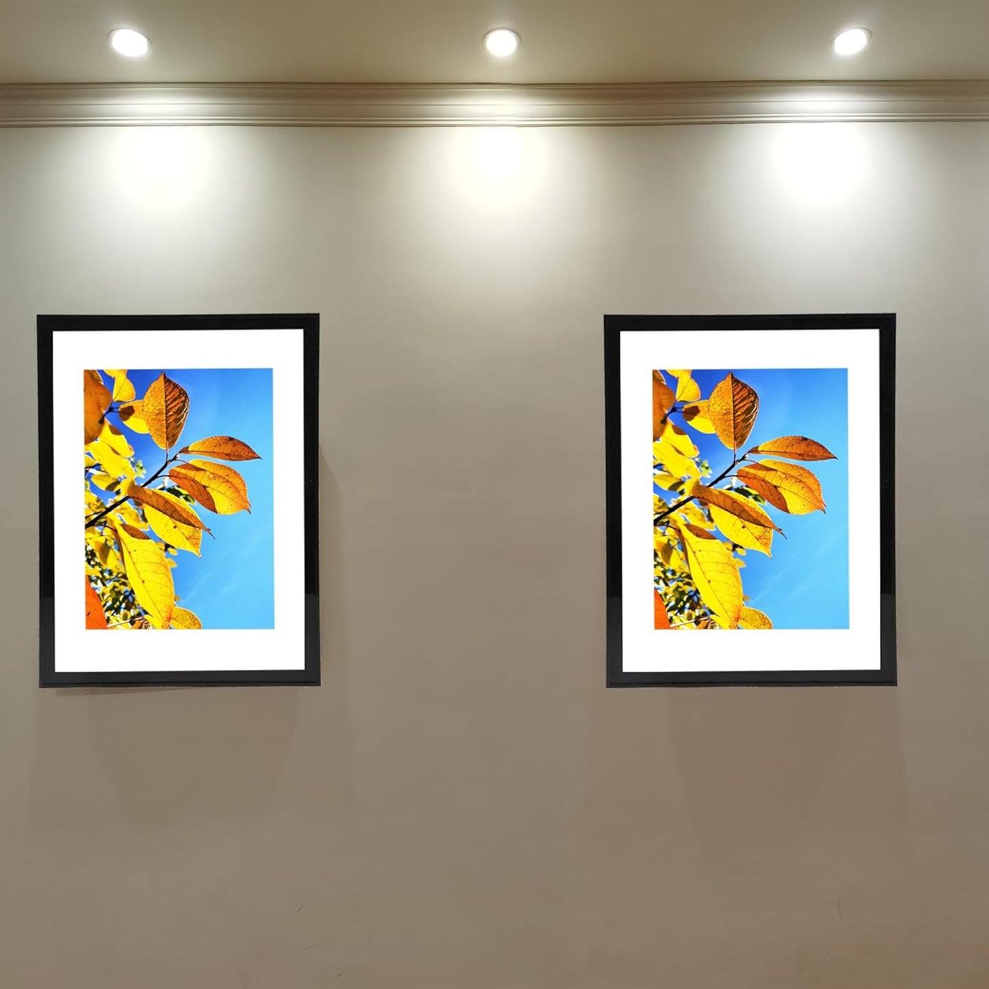 Aynoo Wood Floating Picture Frame 7x9, Table Top 8x10 7x9 6x8 Floating Frame Black Metal Modern Style Frame (PHSD),1Pack