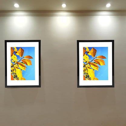 Aynoo Wood Floating Picture Frame 7x9, Table Top 8x10 7x9 6x8 Floating Frame Black Metal Modern Style Frame (PHSD),1Pack