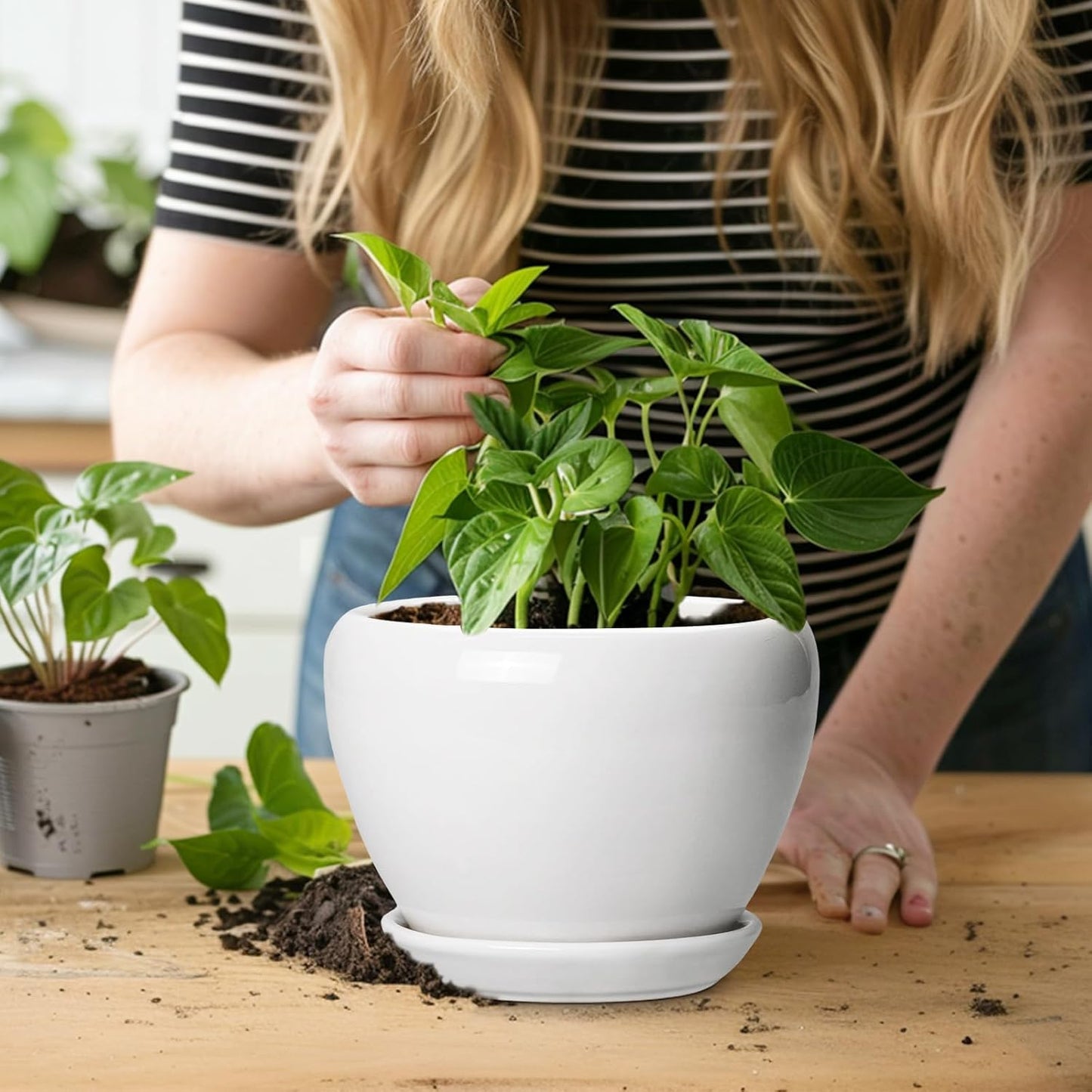 Ceramic Modern Glaze Succulent Planter Pot with Drainage Hole and Saucer 6 Inch Round Flower Plant Pot for Indoor Outdoor Herb Snake Plants
