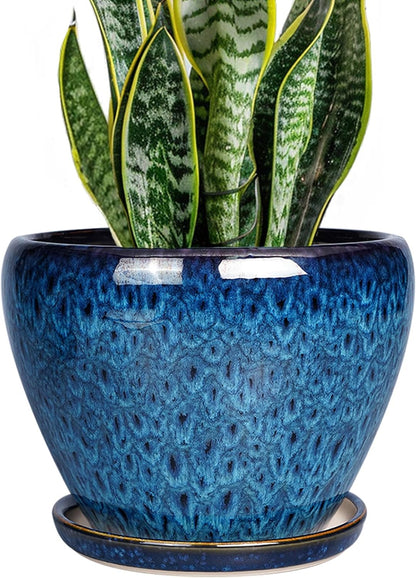 Ceramic Modern Glaze Succulent Planter Pot with Drainage Hole and Saucer 6 Inch Round Flower Plant Pot for Indoor Outdoor Herb Snake Plants