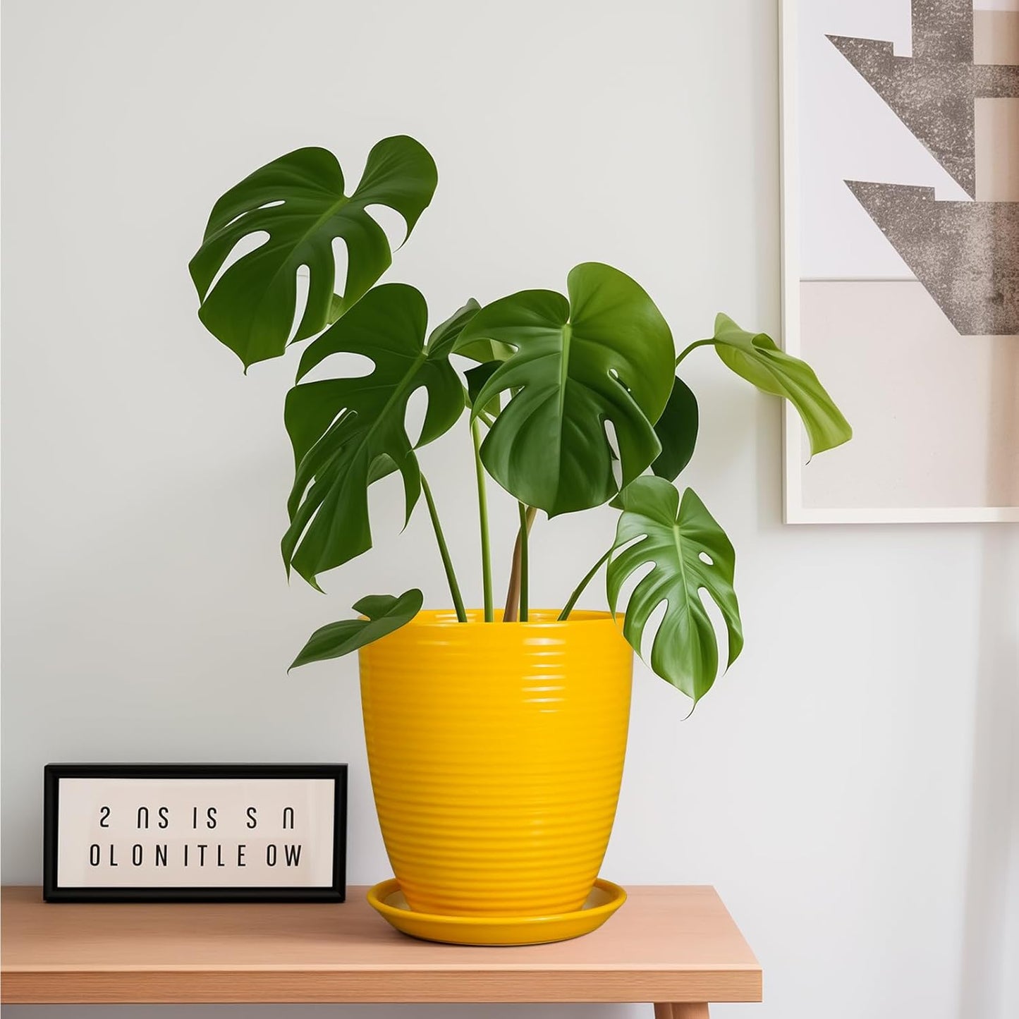 Ceramic Pots for Plants - 6 Inch Plant Pot with Drainage Hole and Saucer, Round Planters for Indoor Outdoor, Flower Pots, Modern Planter, Home Office Room Decor, Gifts for Plant Lovers, White