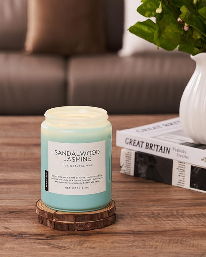 M&SENSE Eucalyptus & Mint Scented Jar Candle, Large 19.4oz Natural Soy Wax, 110-Hour Long Lasting Non-Toxic Clean Burning, Fresh Smelling Home Aromatherapy for Spa Stress Relief, Gifts for Men Women