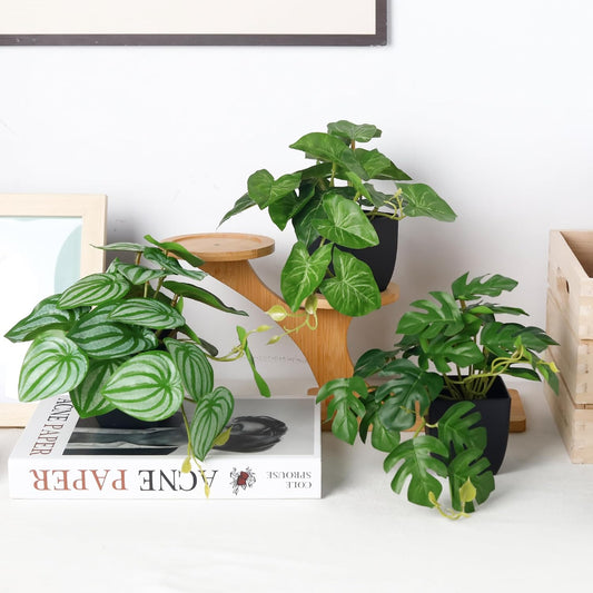 Der Rose 2Pcs Small Fake Plants Artificial Mini Faux Plants for Bathroom Office Desk Shelf Table Accessories Decor Indoor