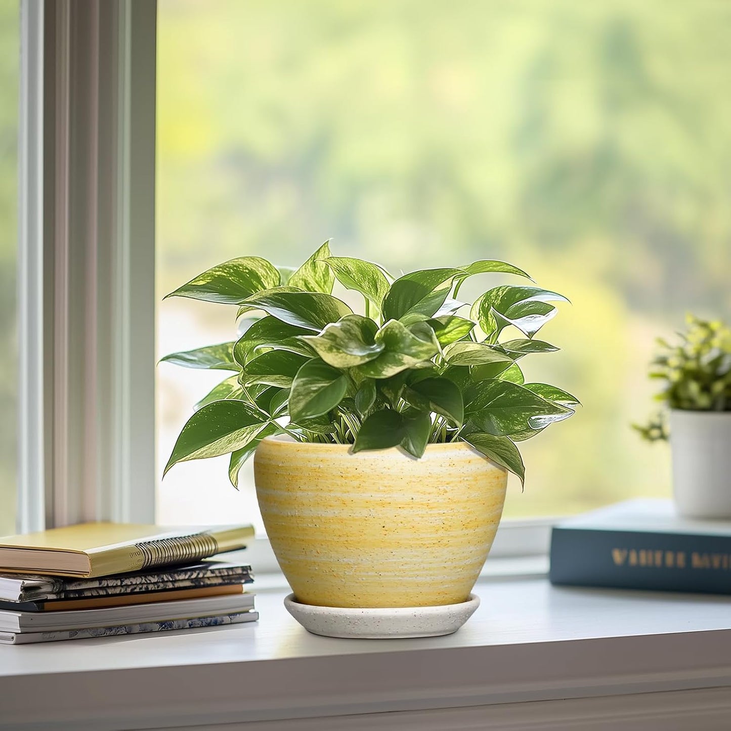 6 Inch Plant Pot - Ceramic Pots for Plants with Drainage Hole and Saucer, Round Succulent Planter Indoor Outdoor, Modern Flower Pot for Snake Plants, Home Decor, Gifts for Plant Lover, Blue