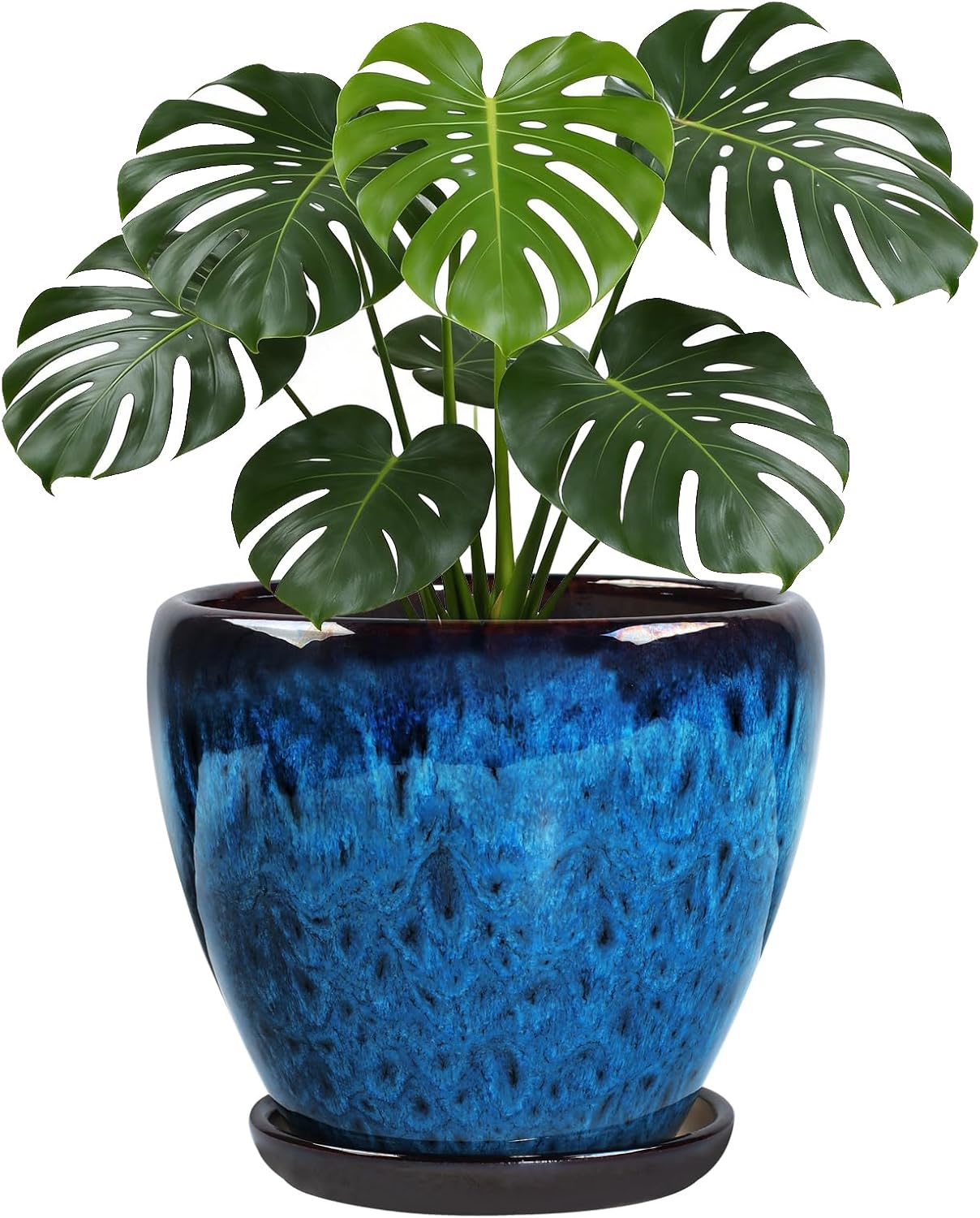 Ceramic Plant Pots with Saucer, 6 inch Glaze Planters for Indoor Plants with Drainage Holes, Decorative Small Flower Pots Outdoor, Modern Succulent Pots for Home Room Decor