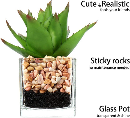 Briful Mini Fake Plants 4 Packs Succuletns Artificial Potted Plants in Cube Glass Vase Faux Succulents for Bathroom Living Room Kitchen Shelf Table Decor