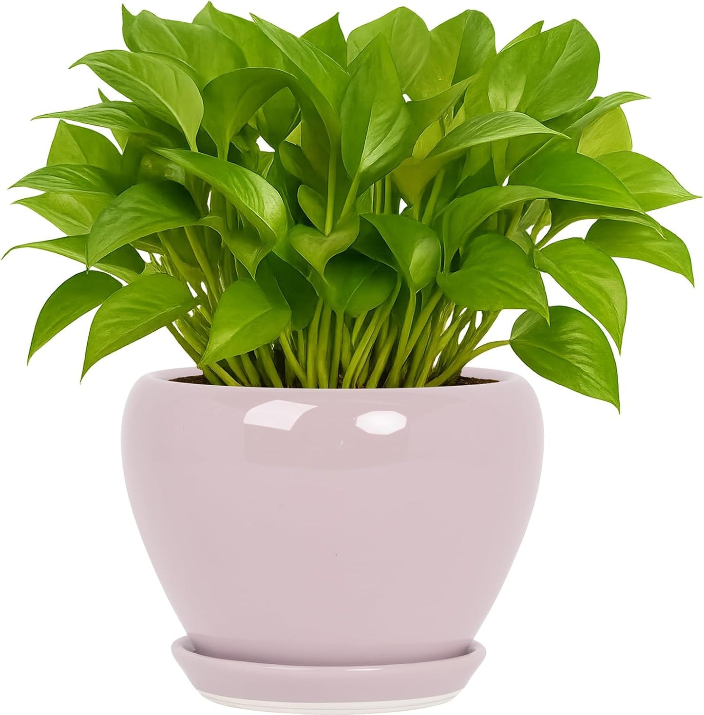 Deep Dream 6 Inch Plant Pots- Ceramic Planter Pot with Drainage Hole and Saucer, Round Flower Pot for Indoor Outdoor Succulent, Snake Plants and Cactus, Blue