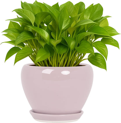 Deep Dream 6 Inch Plant Pots- Ceramic Planter Pot with Drainage Hole and Saucer, Round Flower Pot for Indoor Outdoor Succulent, Snake Plants and Cactus, Blue