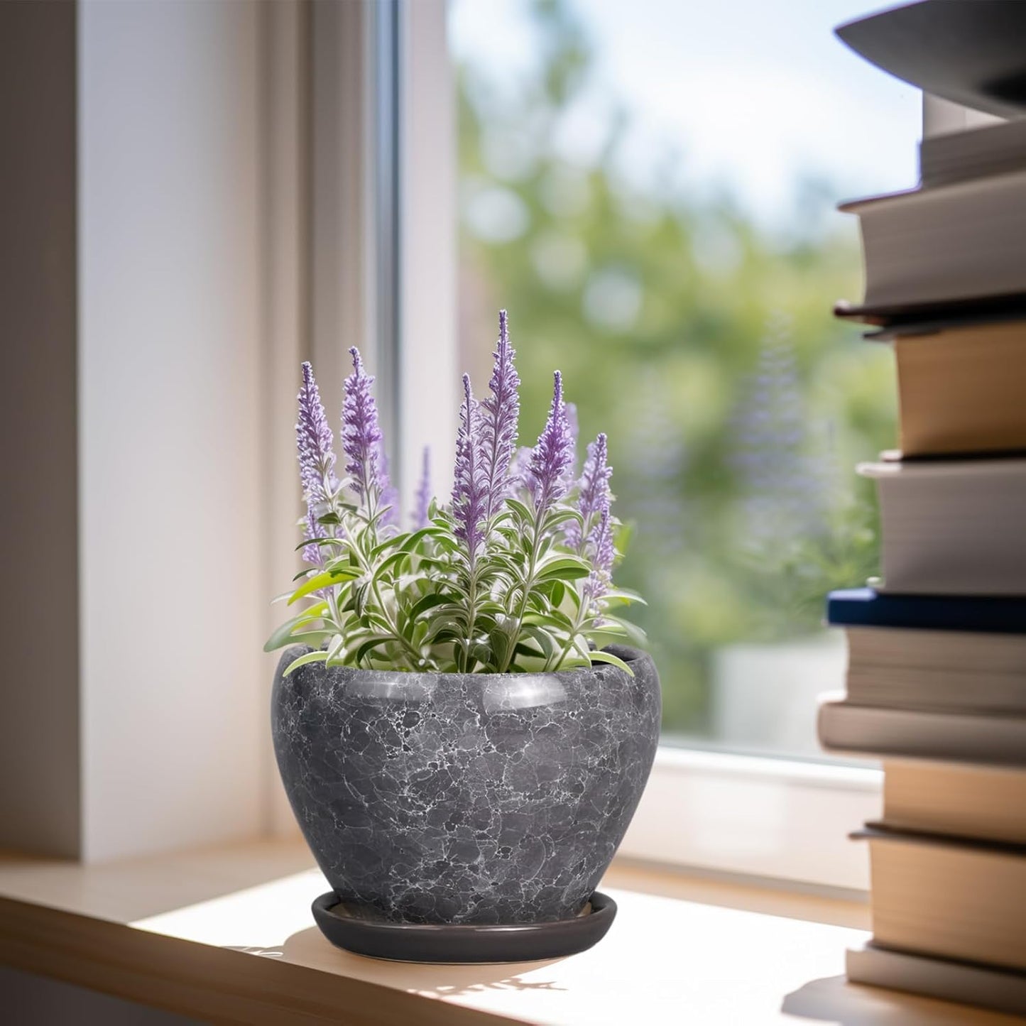 Ceramic Modern Glaze Succulent Planter Pot with Drainage Hole and Saucer 6 Inch Round Flower Plant Pot for Indoor Outdoor Herb Snake Plants