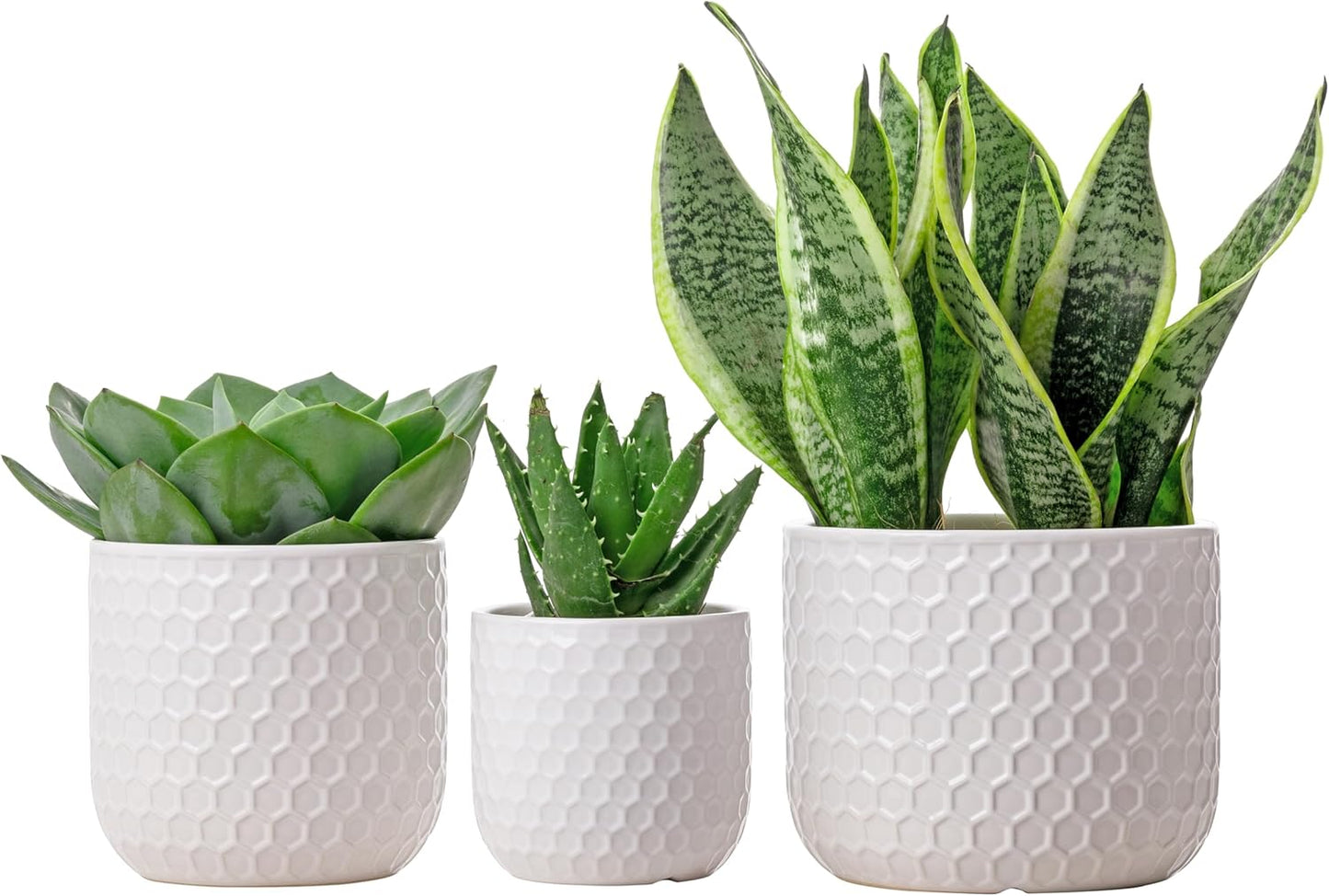 Docrin 3-Pack Ceramic Planters Set - 6.5"+5.3"+4" Dual-Tone Flower Pots with Drainage Holes, Modern Indoor Outdoor Planters for Succulents/Herbs/Large Plants, Home Office (Brownish Black & White)