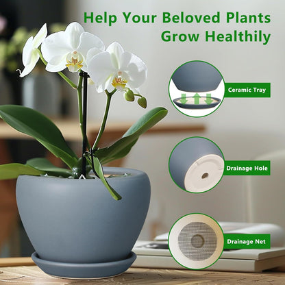Ceramic Modern Glaze Succulent Planter Pot with Drainage Hole and Saucer 6 Inch Round Flower Plant Pot for Indoor Outdoor Herb Snake Plants