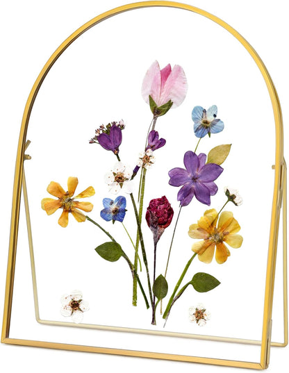 REDHUGO Double Glass Frame for Pressed Flowers Handmade, Metal Floating Picture Frame for Pressed Flower, Tabletop Display, Brass, ArcShaped, Black, 4x6 inches (FRAME ONLY)