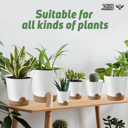 YNNICO Indoor Self Watering Planters with Drainage Holes and Saucers, 8, 7, 6.5, 6, 5.5, 5 Inches, Black, 6 Pots
