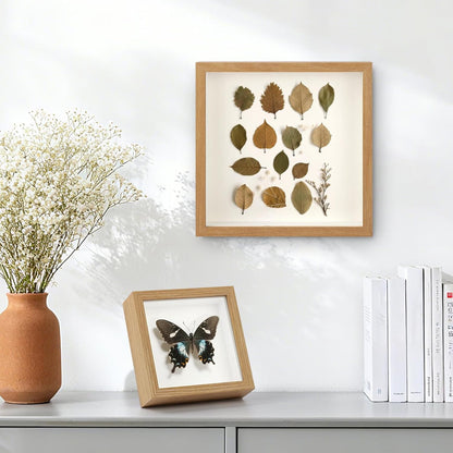 6 Pcs Shadow Box Frame - 5x5 Square Frame Display Case for Sports Memorabilia & Wedding Keepsakes - Wall Mountable Display Box for Medals, Photos, Dried Flowers (Black)